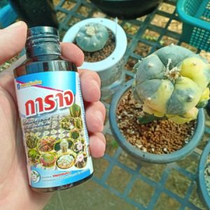 Garag cactus protection 100cc