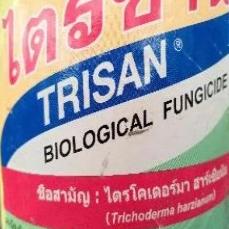 Fungicide biological, cactus disease prevention- 2g