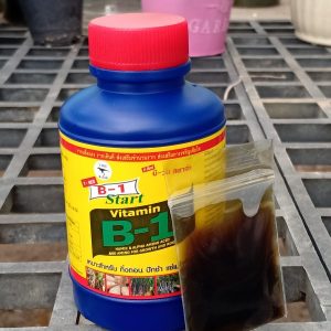 Alternative view of Vitamin B1 for cactus roots growth devlopment- 1 bottle of 100ml