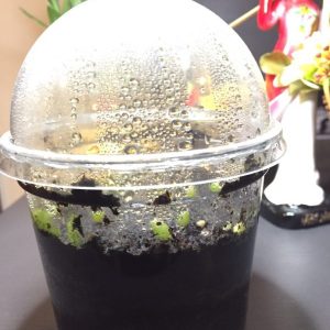 Alternative view of Germination Kit #3 (Without seeds)